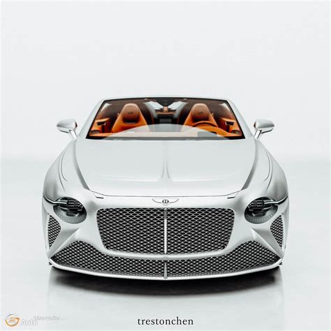 bentley hermes|bentley bacalar.